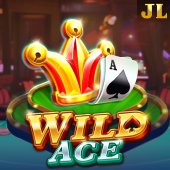 Wild Ace 777 casino slot